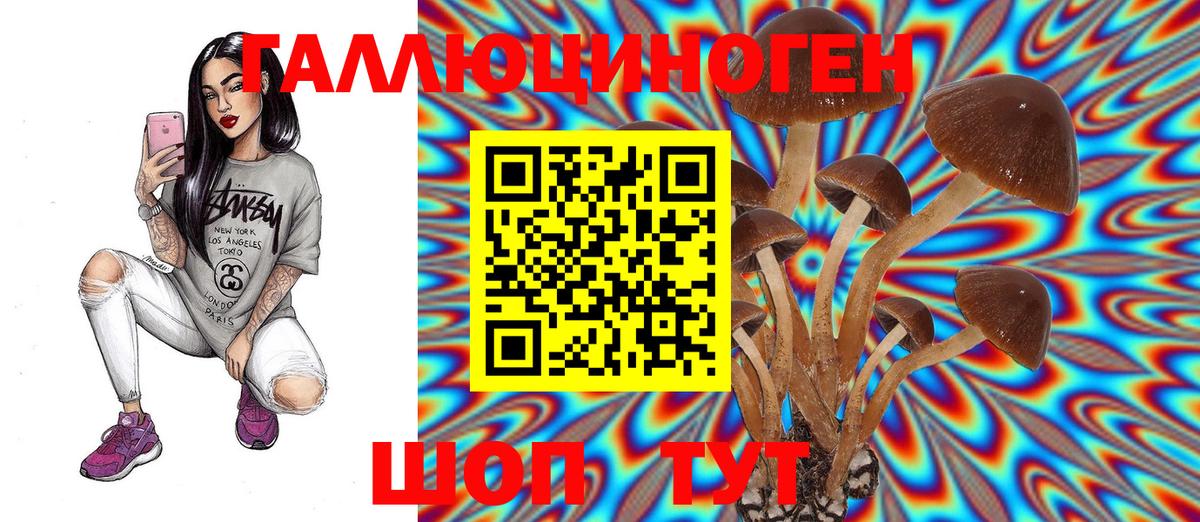 Тайшет  Псилоцибиновые грибы мицелий  Вход с VPN 