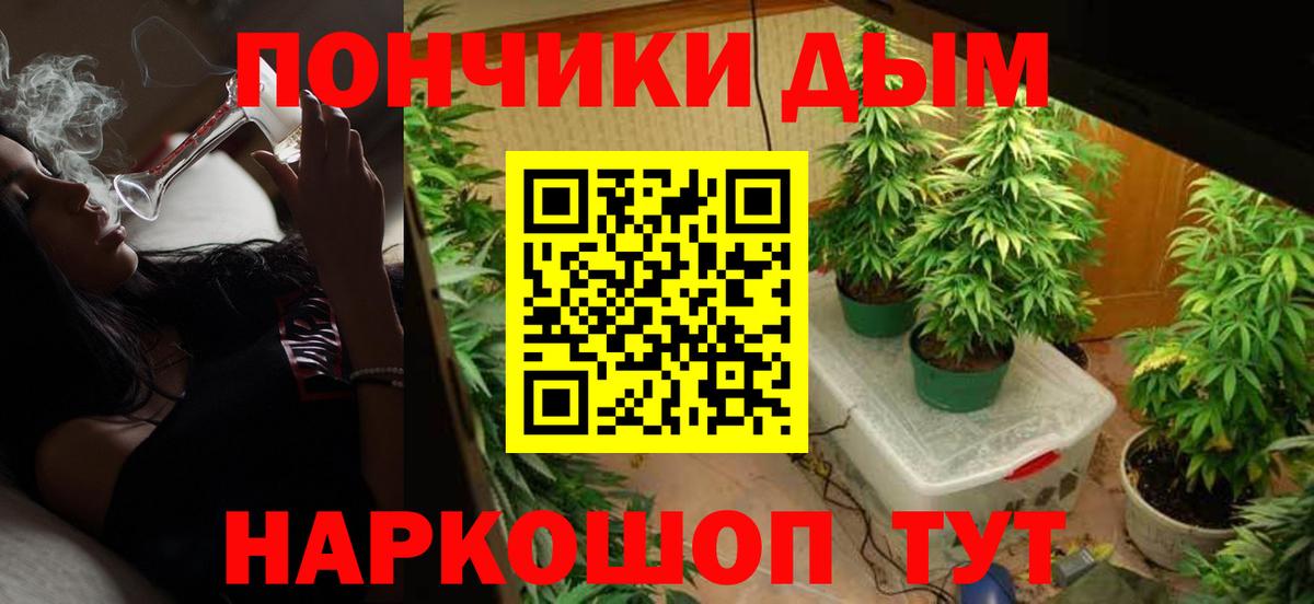 Бошки Шишки AK-47 Тайшет